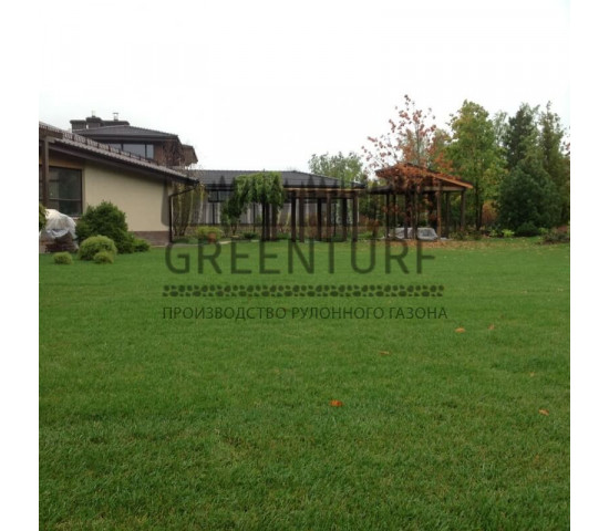Устройство рулонного газона в коттеджном поселке - фото - 17