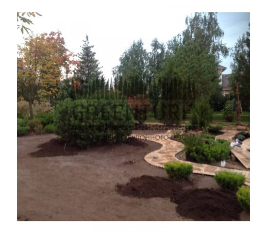 Устройство рулонного газона в коттеджном поселке - фото - 12